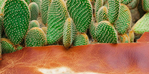 ヴィーガンレザーとは